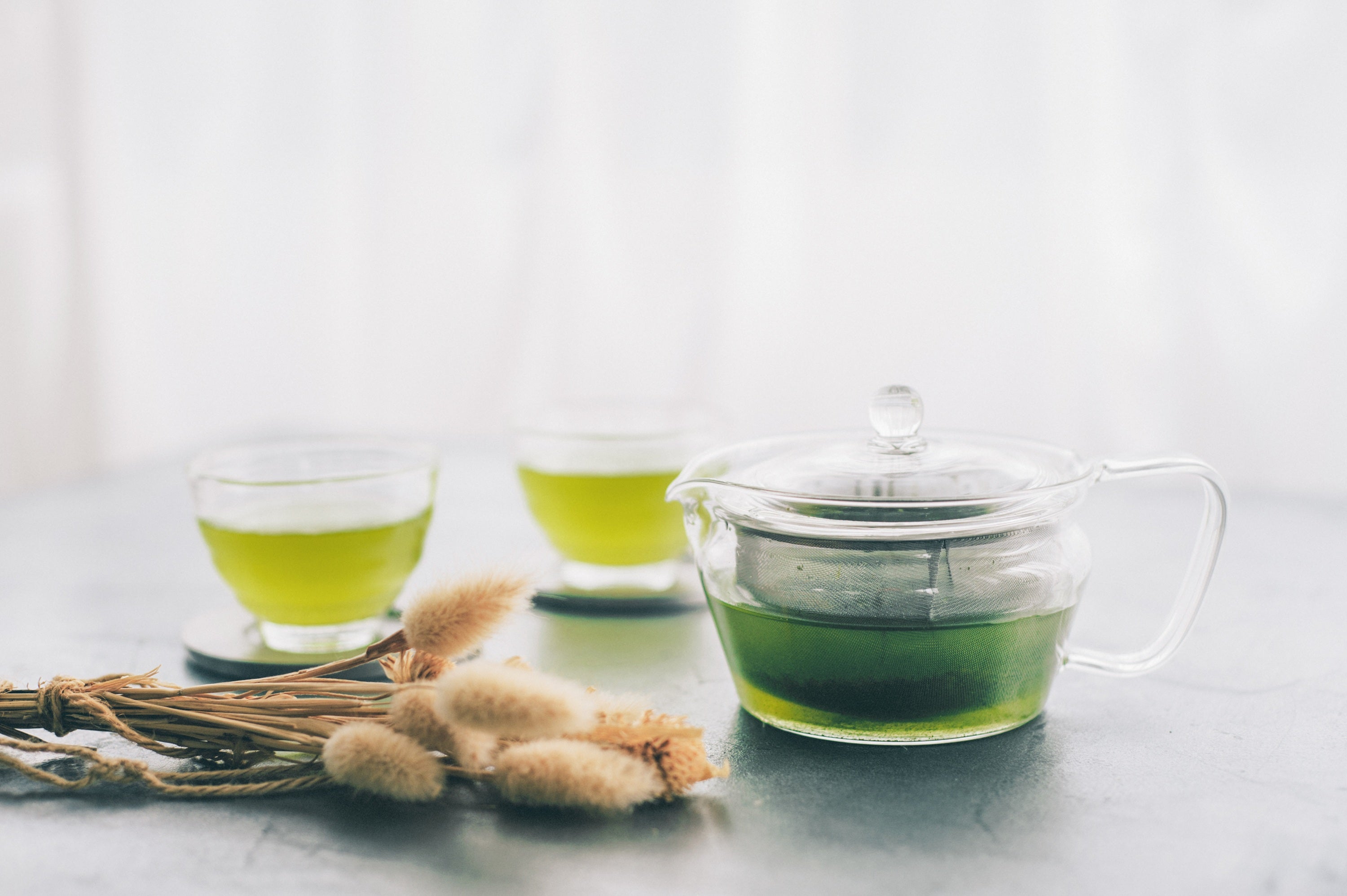 HARIO Cha Cha Kyusu Zen