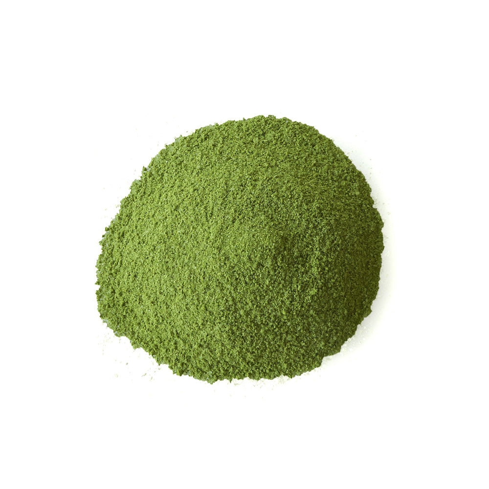 Re-Q Matcha Latte (BULK) - 50pk.