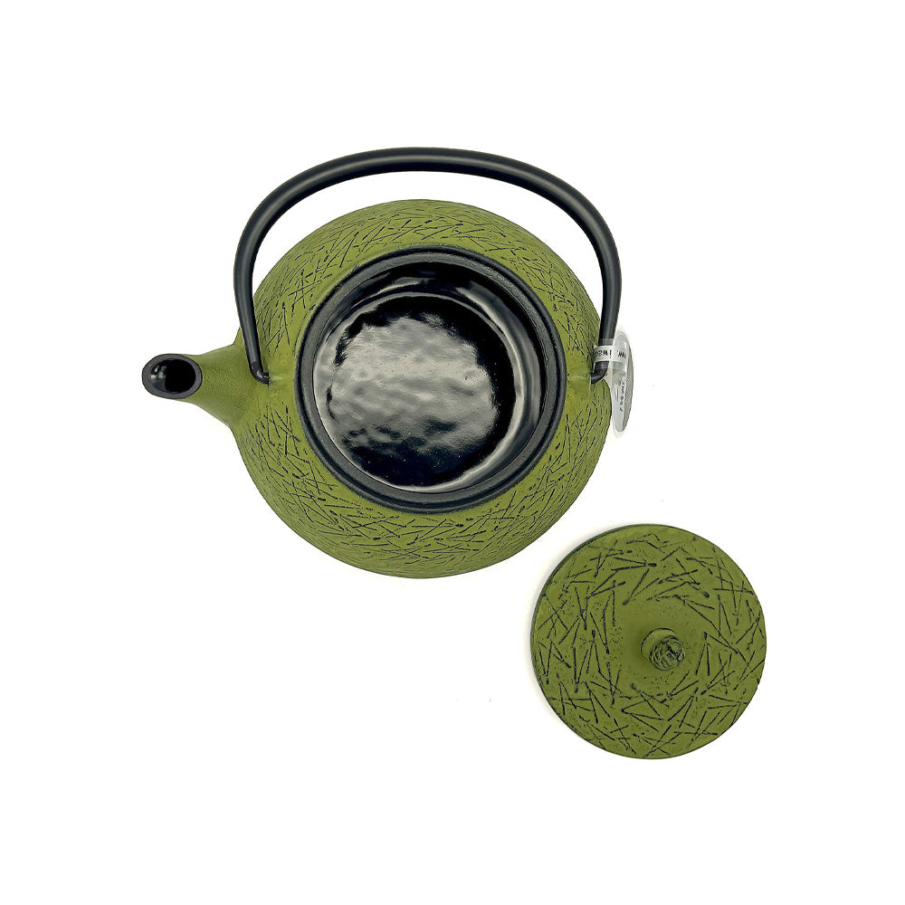 IWACHU Japanese Cast Iron Tetsubin Teapot, Green Pine Needle